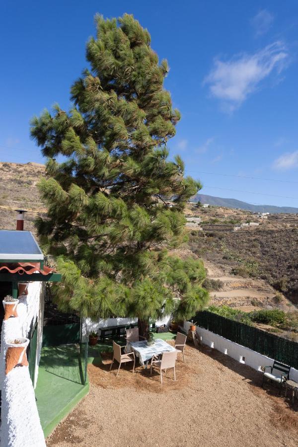 Villa La Zarza Rural Experience By Sunkeyrents Santa Cruz de Tenerife Exterior foto